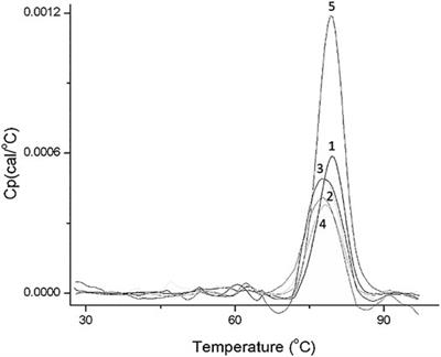 Revising Protein Corona Characterization and Combining ITC and Nano-DSC to Understand the Interaction of Proteins With Porous Nanoparticles